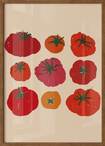 Tomate Voyager