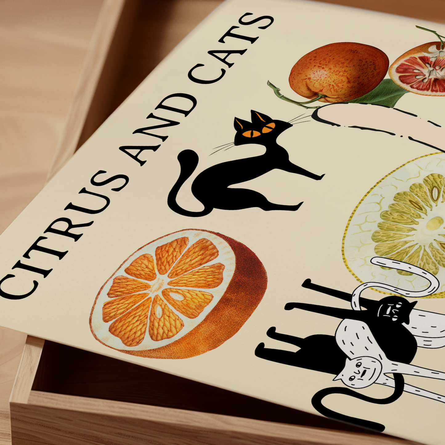 Citrus and Cats